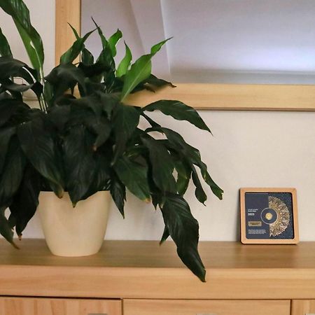 Apartmany Na Sumave Kasperske Hory Exteriör bild